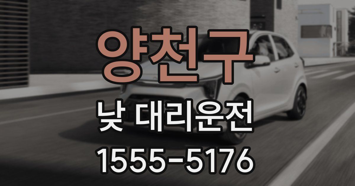 양천구 낮 대리운전