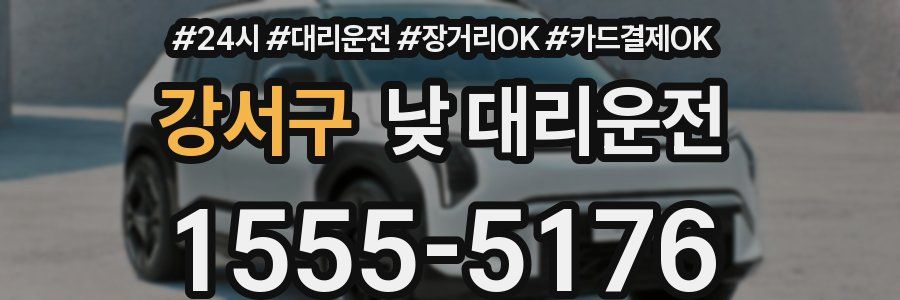 강서구 낮 대리운전