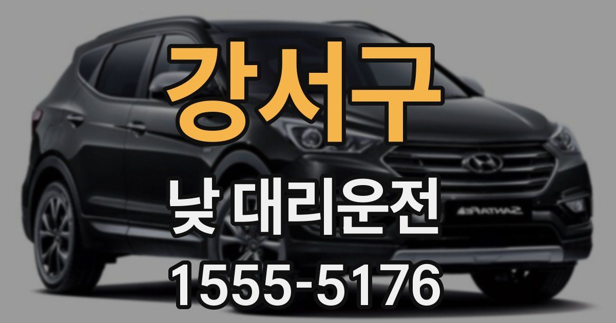 강서구 낮 대리운전