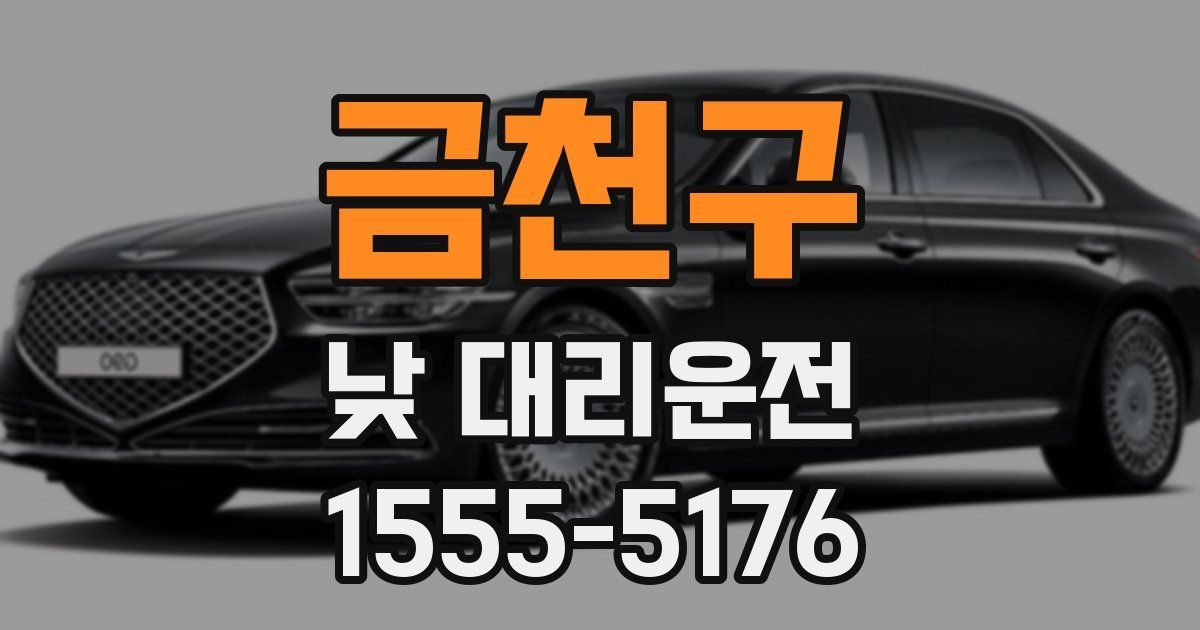 금천구 낮 대리운전