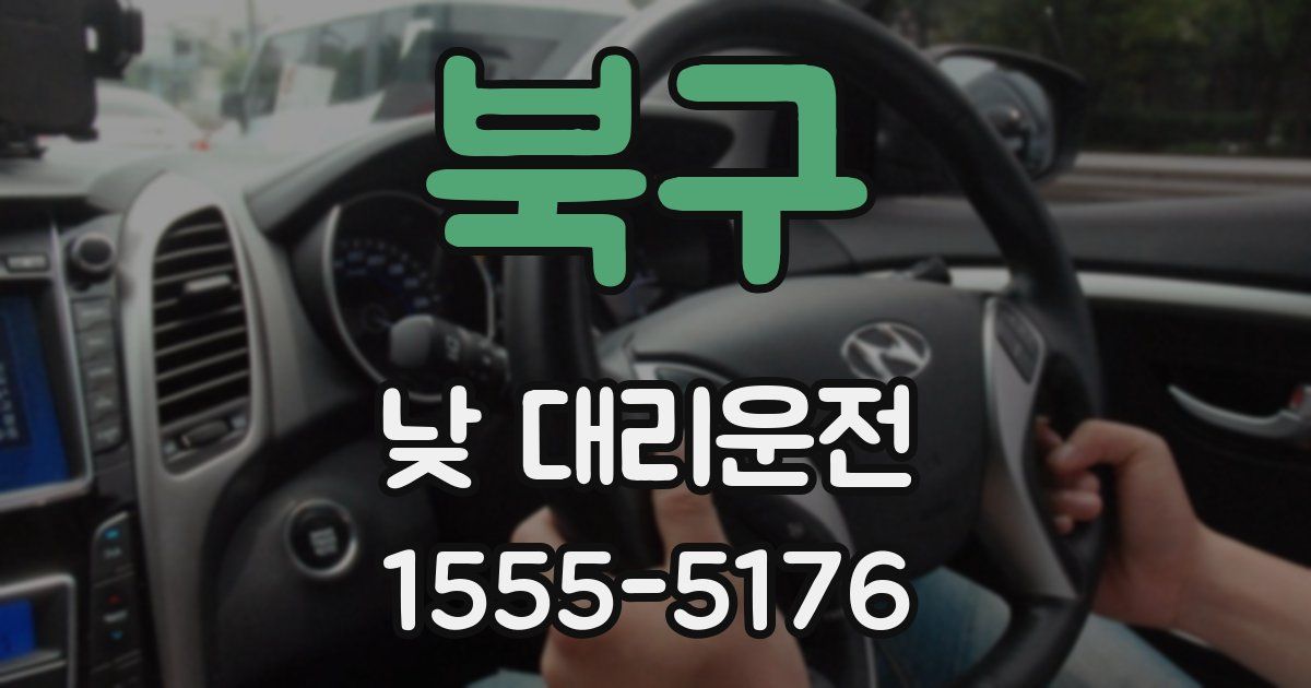 북구 낮 대리운전