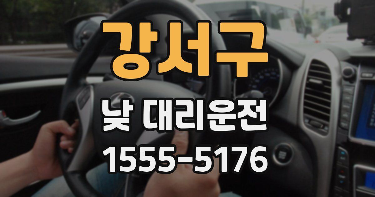 강서구 낮 대리운전