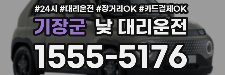 기장군 낮 대리운전