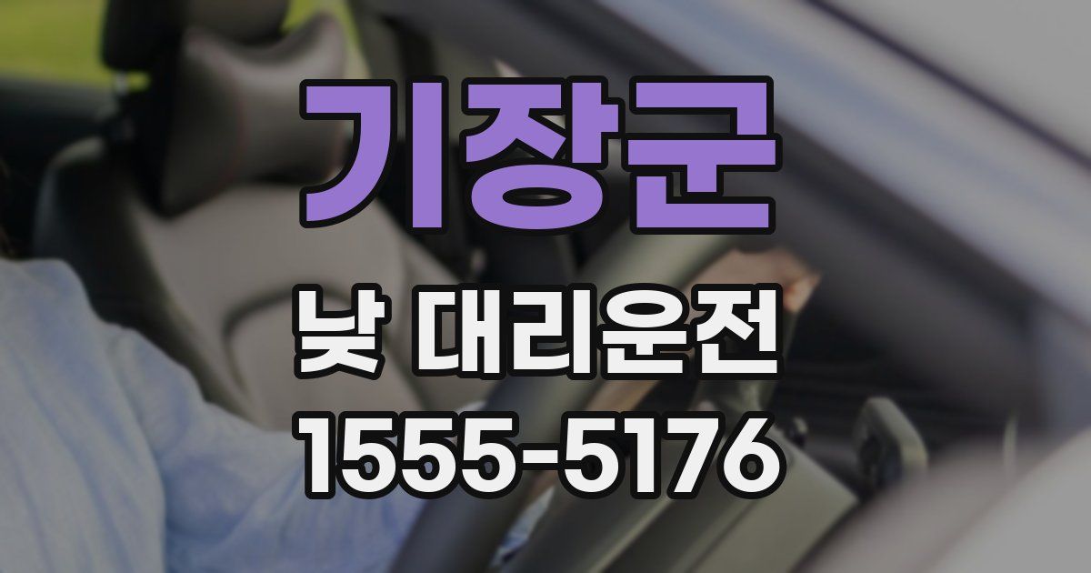 기장군 낮 대리운전