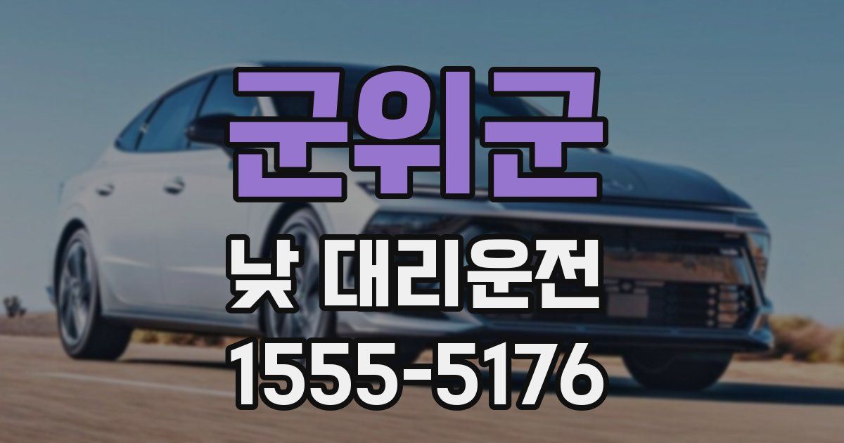 군위군 낮 대리운전