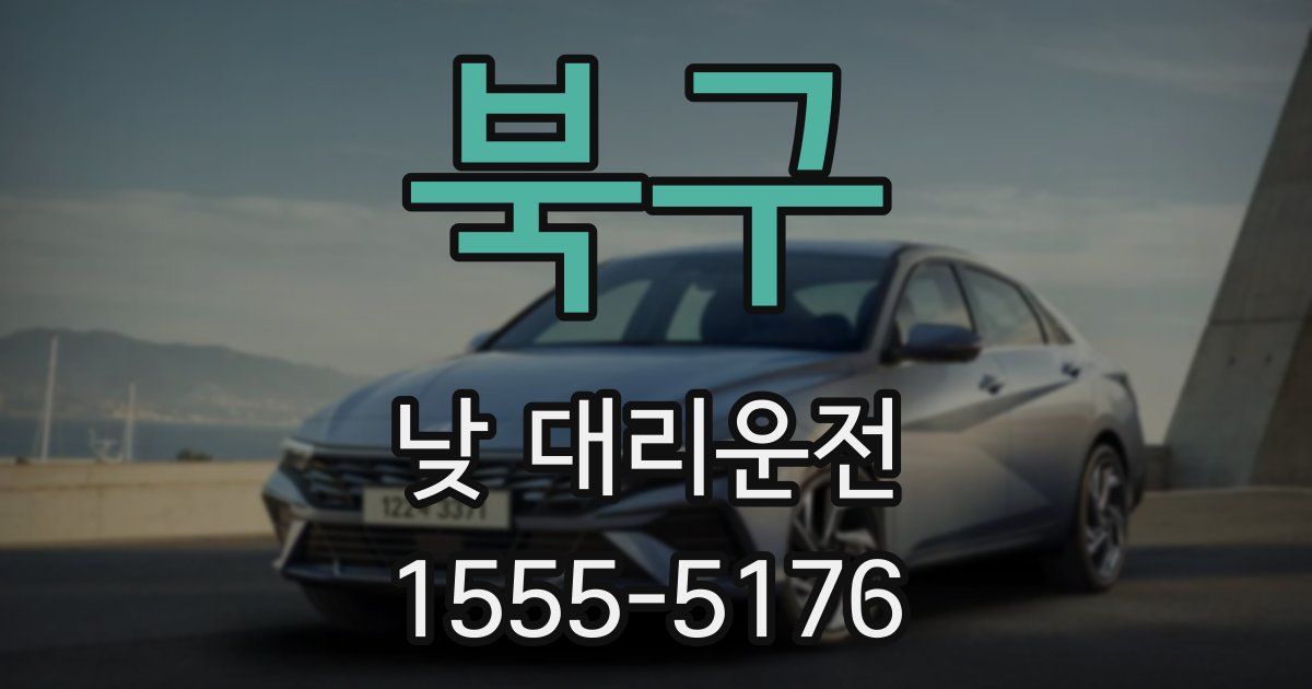 북구 낮 대리운전