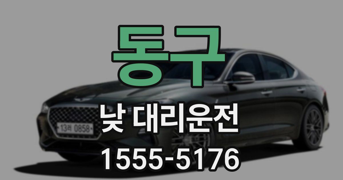 동구 낮 대리운전
