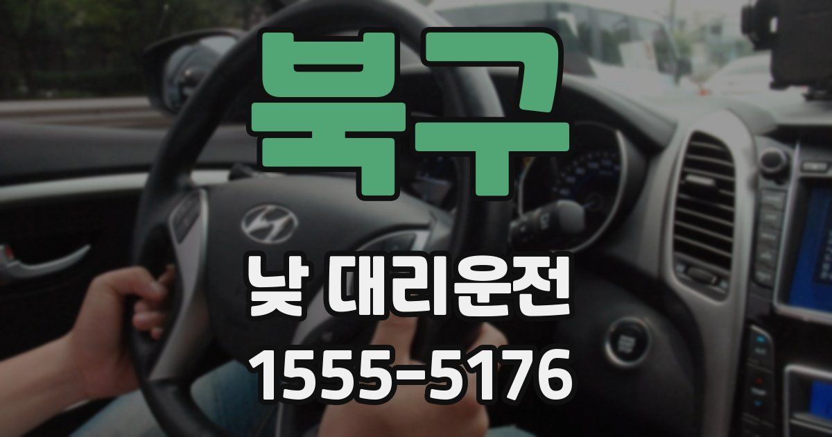 북구 낮 대리운전