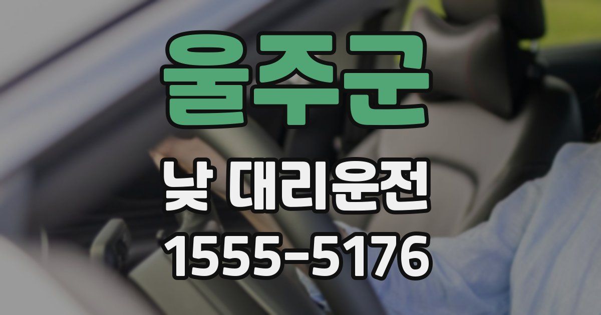 울주군 낮 대리운전