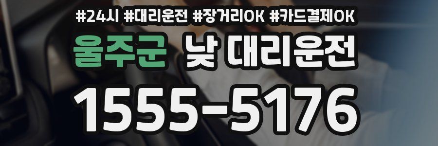 울주군 낮 대리운전