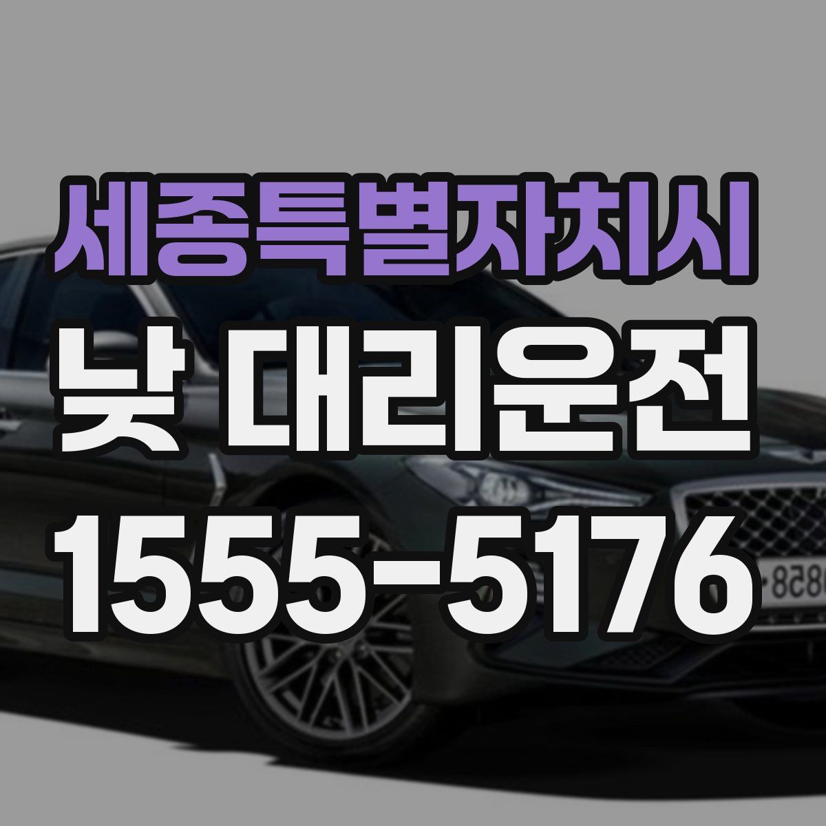 세종특별자치시 낮 대리운전