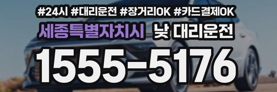 세종특별자치시 낮 대리운전
