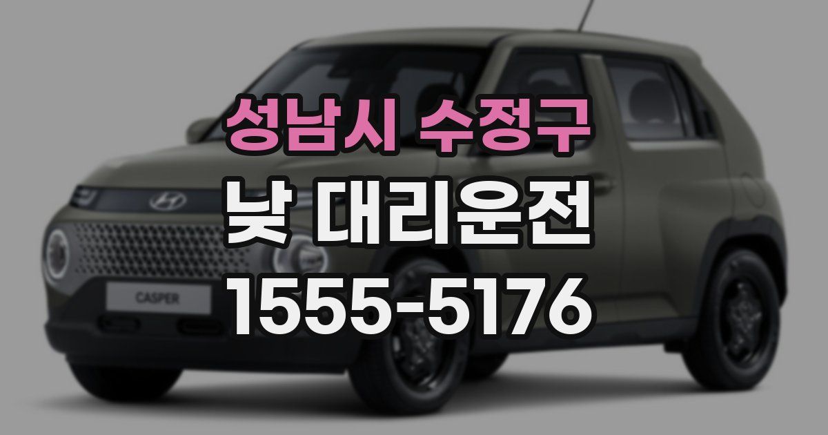 성남시 수정구 낮 대리운전