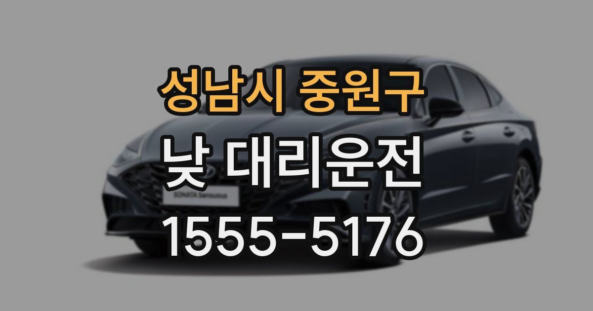 성남시 중원구 낮 대리운전