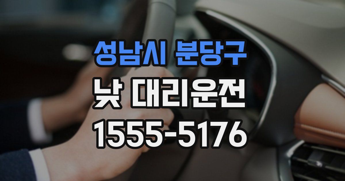 성남시 분당구 낮 대리운전