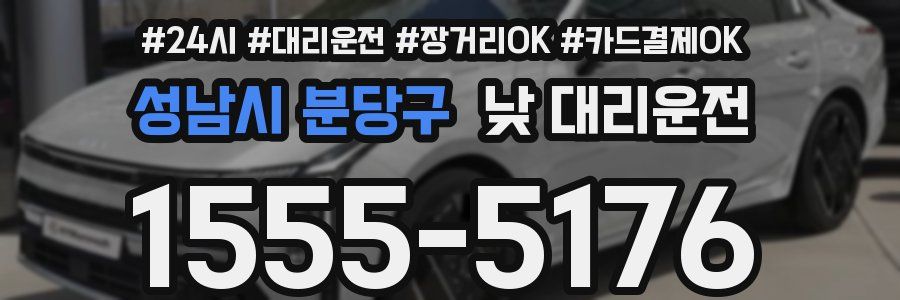 성남시 분당구 낮 대리운전