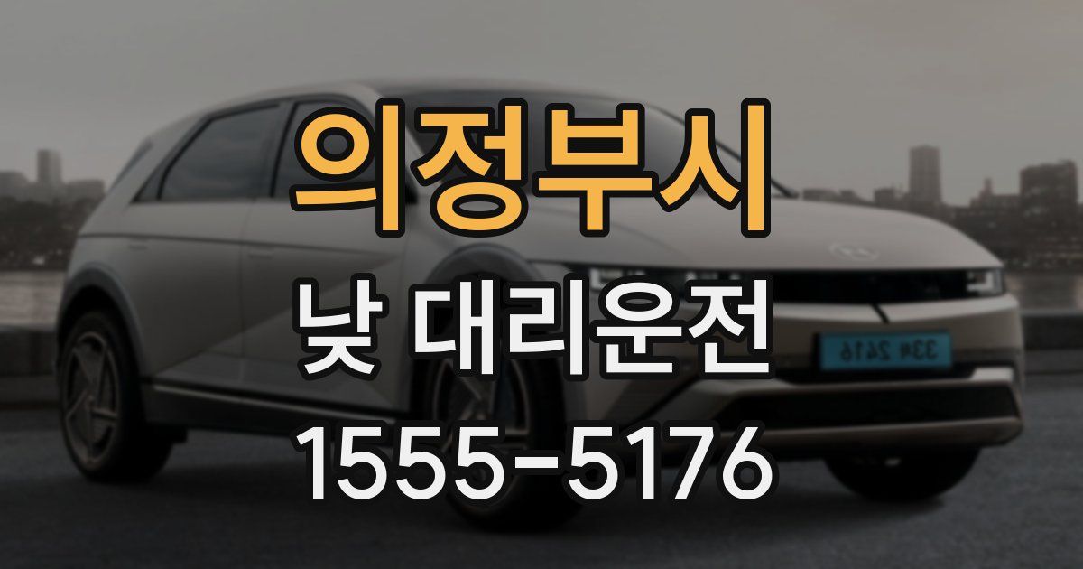 의정부시 낮 대리운전