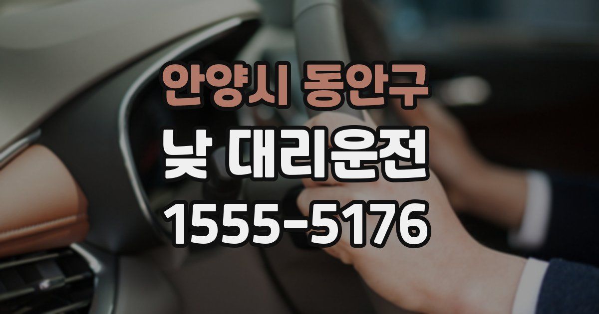 안양시 동안구 낮 대리운전