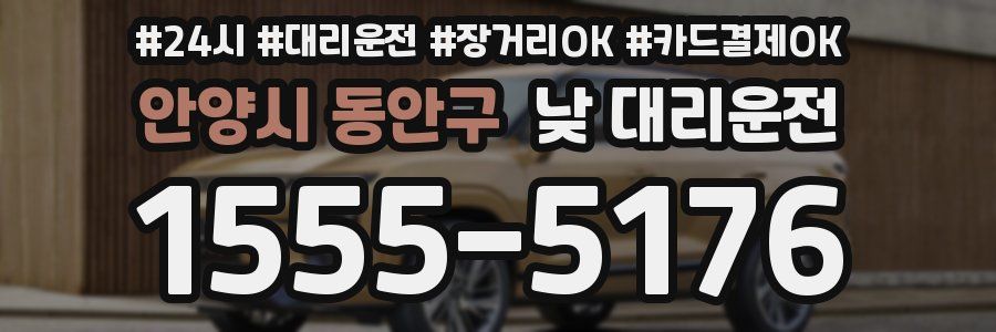 안양시 동안구 낮 대리운전