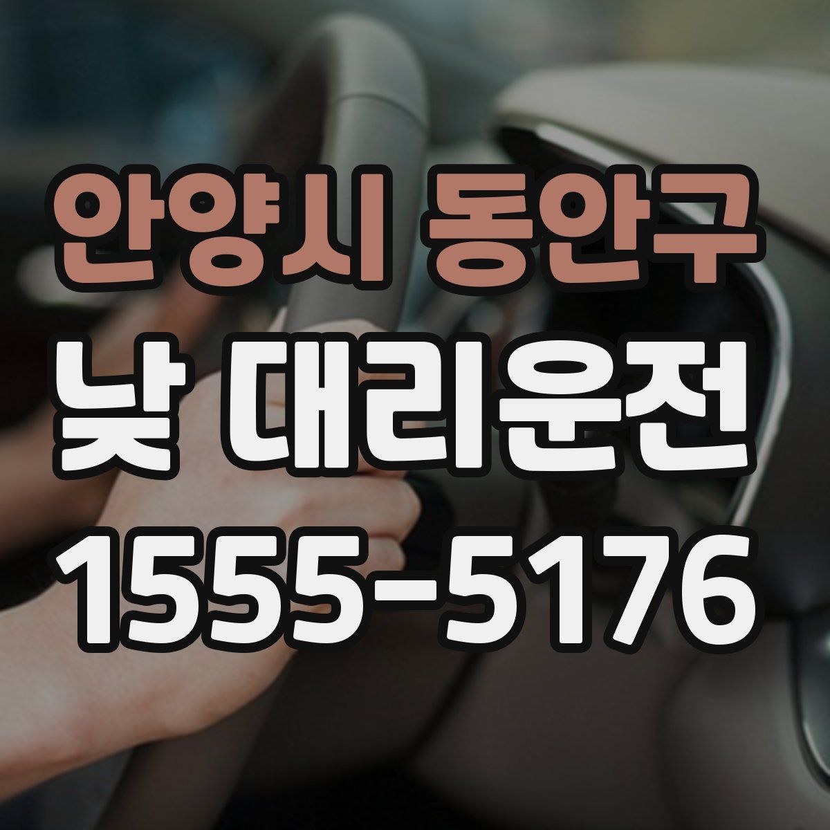 안양시 동안구 낮 대리운전