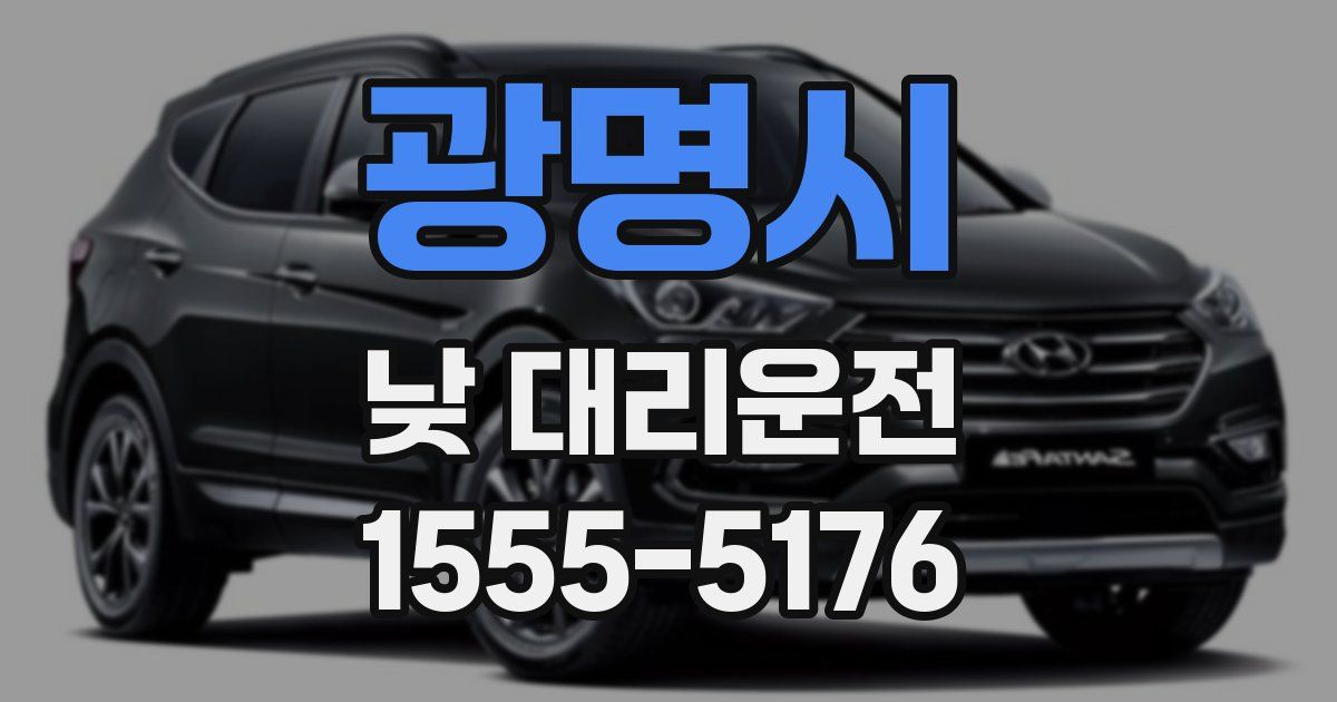 광명시 낮 대리운전