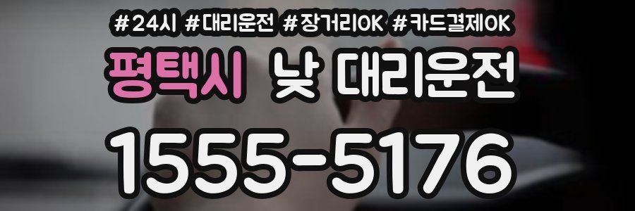 평택시 낮 대리운전