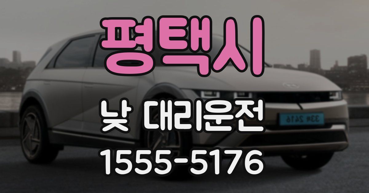 평택시 낮 대리운전
