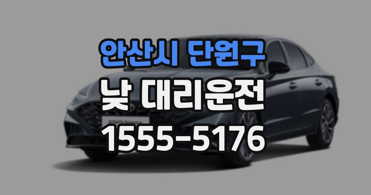 안산시 단원구 낮 대리운전