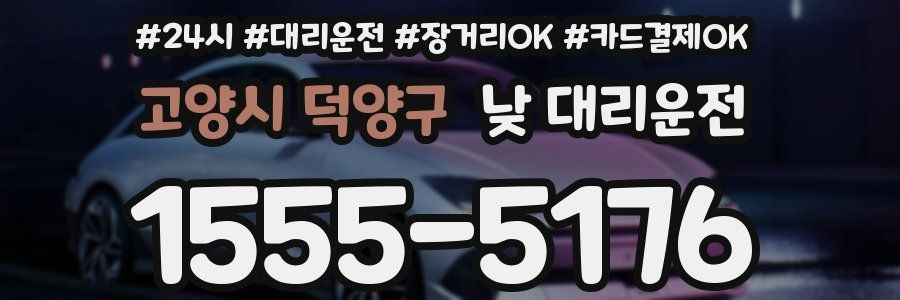 고양시 덕양구 낮 대리운전