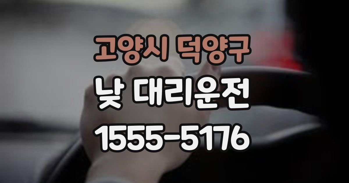 고양시 덕양구 낮 대리운전