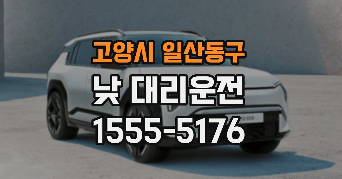 고양시 일산동구 낮 대리운전