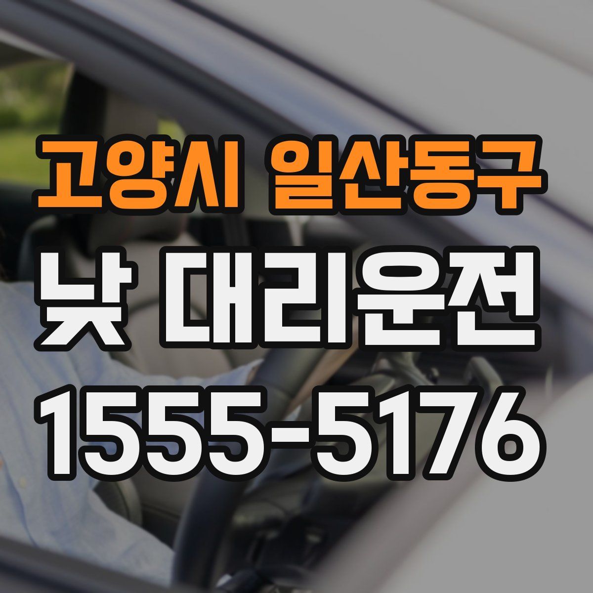 고양시 일산동구 낮 대리운전