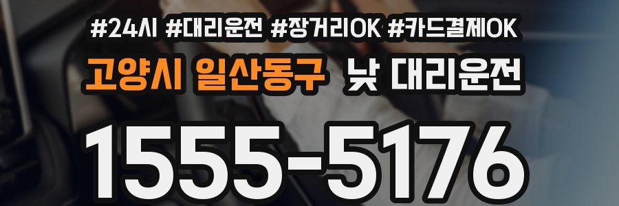 고양시 일산동구 낮 대리운전