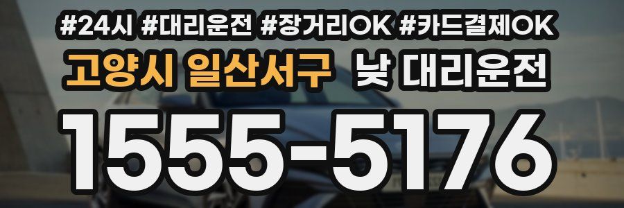 고양시 일산서구 낮 대리운전