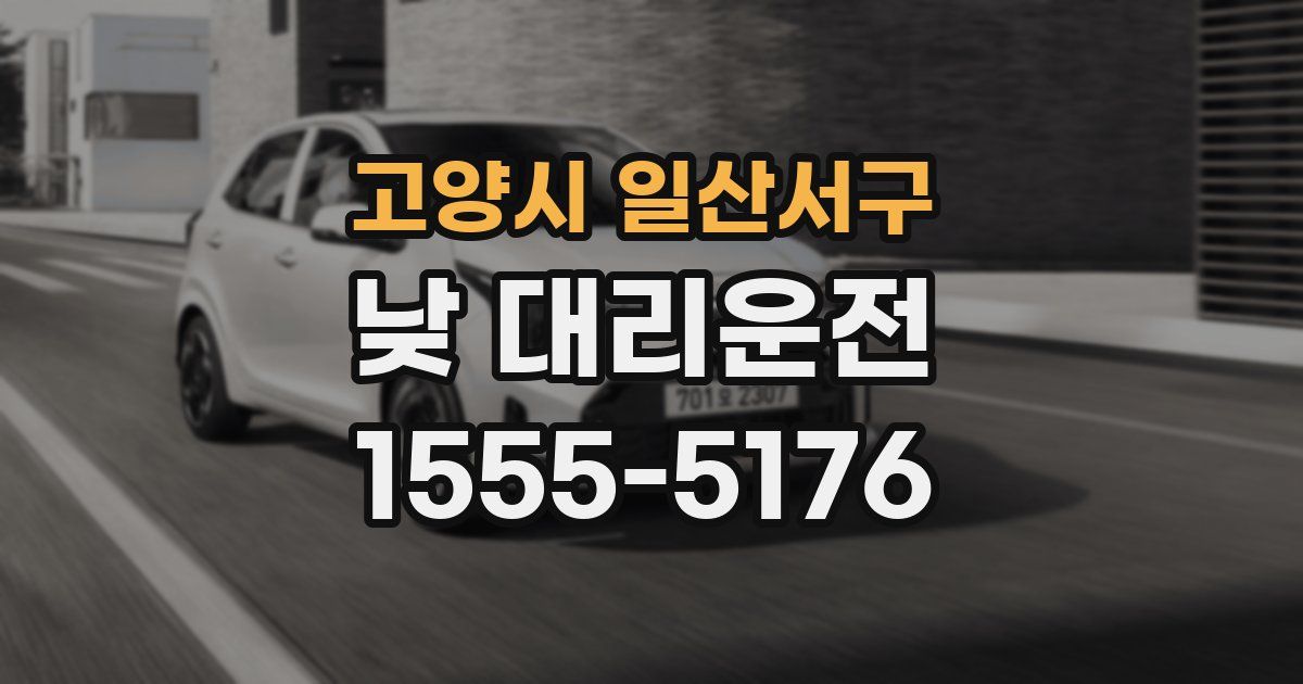 고양시 일산서구 낮 대리운전