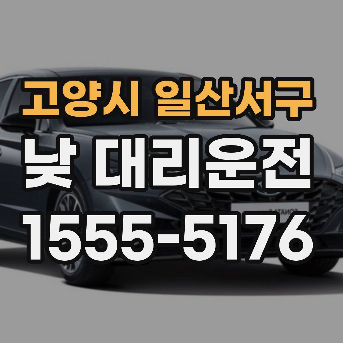 고양시 일산서구 낮 대리운전