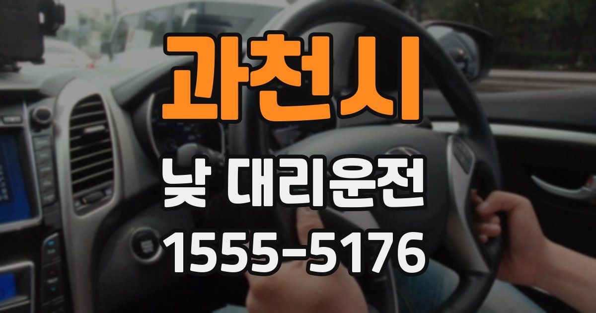 과천시 낮 대리운전