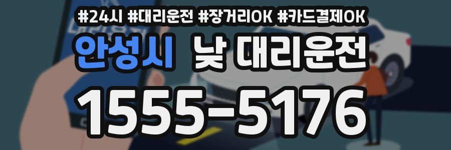 안성시 낮 대리운전