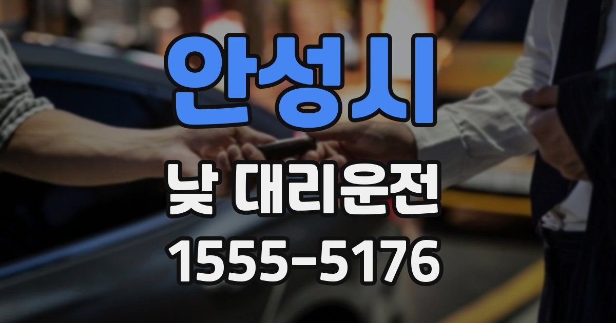 안성시 낮 대리운전