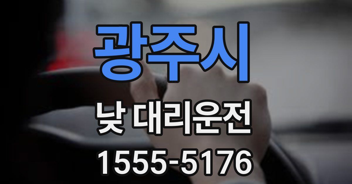 광주시 낮 대리운전