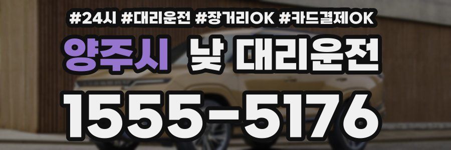 양주시 낮 대리운전