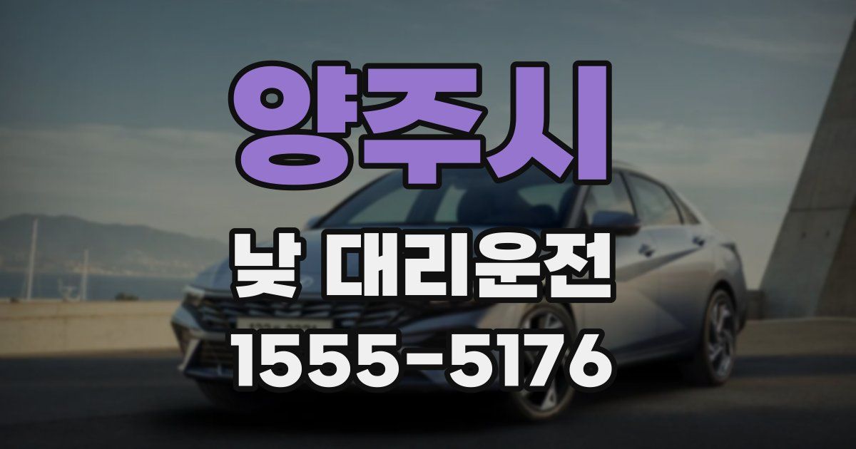 양주시 낮 대리운전