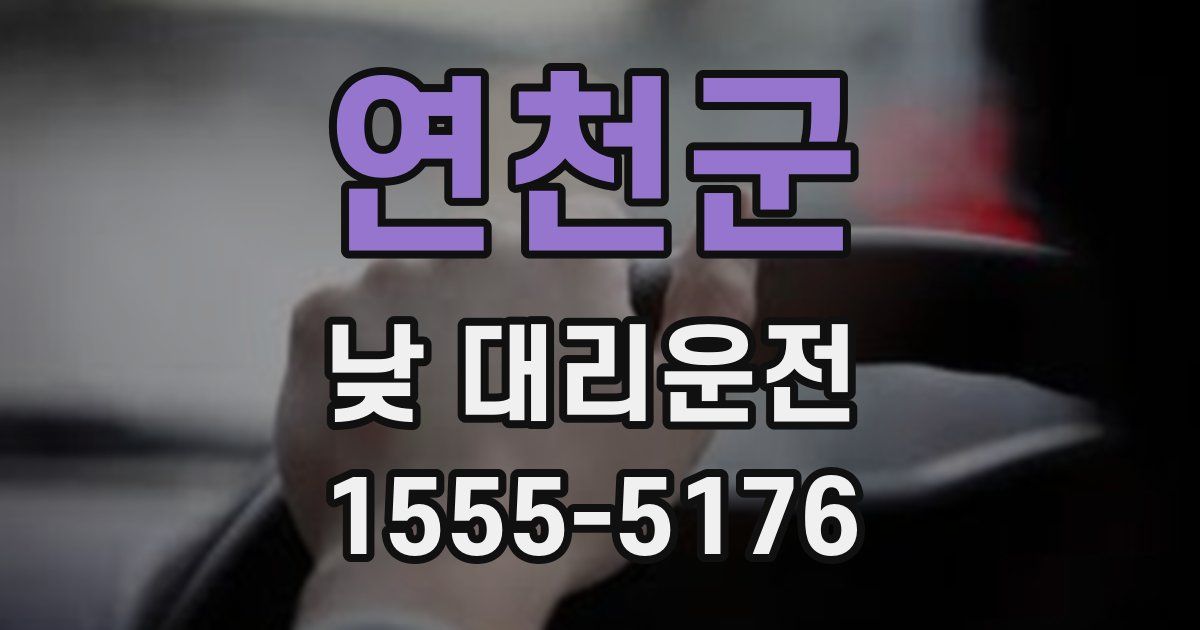 연천군 낮 대리운전