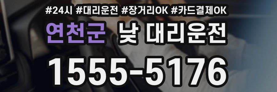 연천군 낮 대리운전
