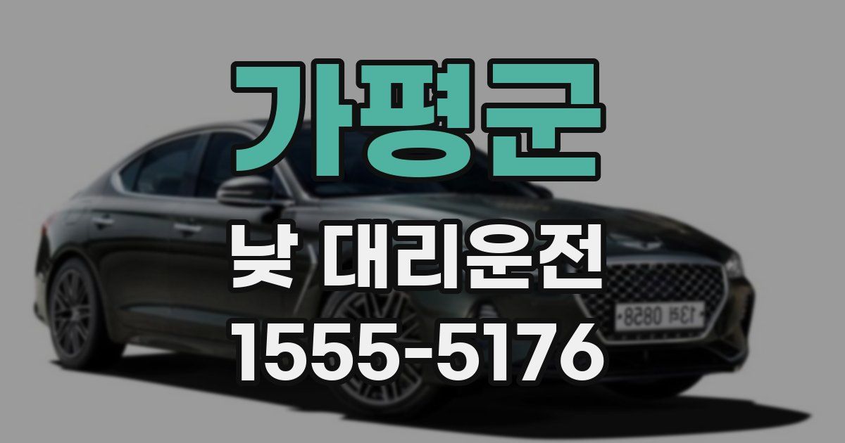 가평군 낮 대리운전