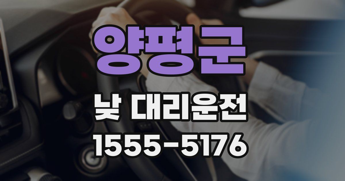 양평군 낮 대리운전