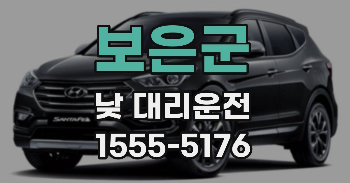 보은군 낮 대리운전