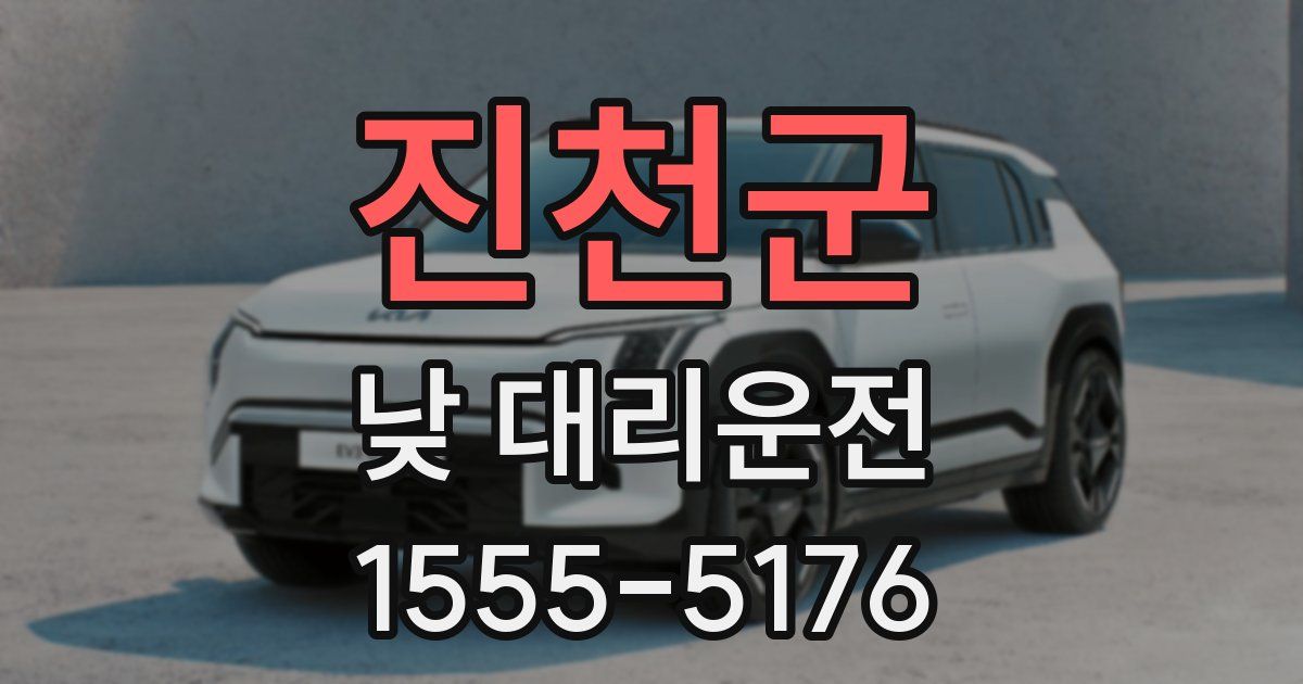 진천군 낮 대리운전