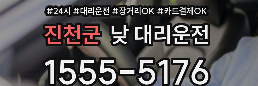 진천군 낮 대리운전