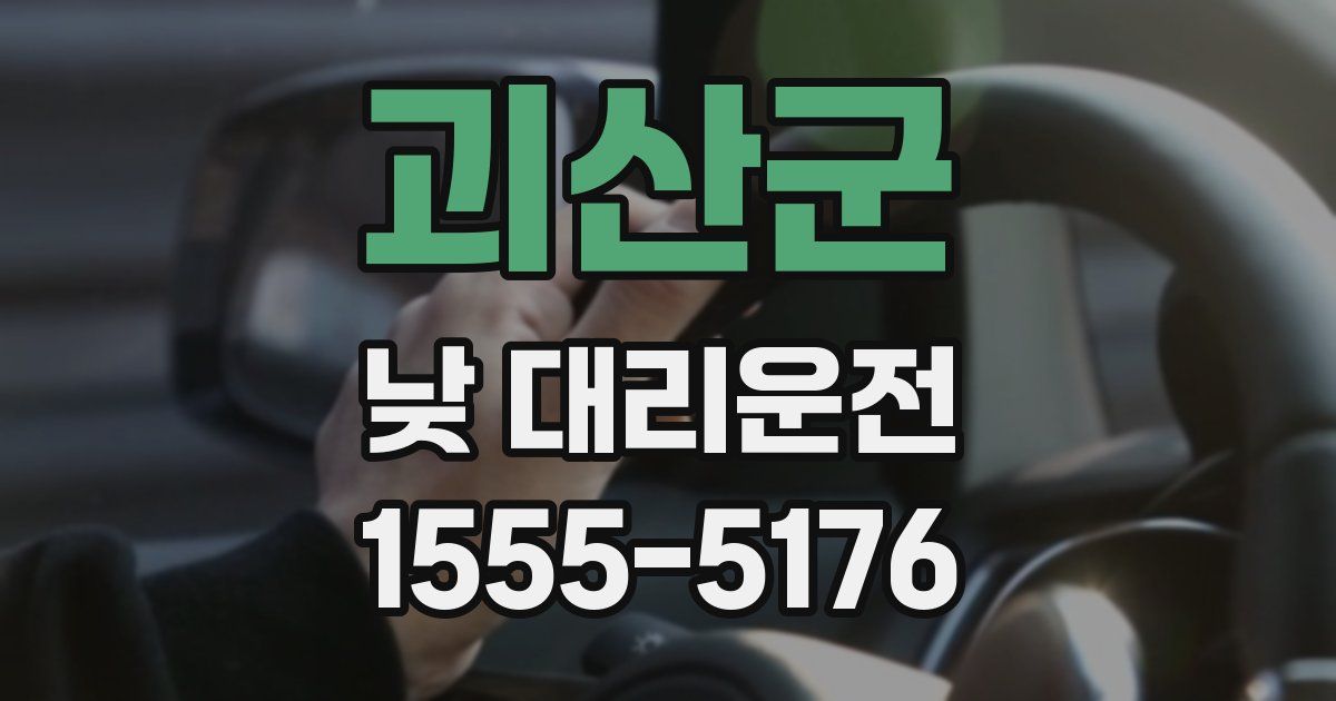 괴산군 낮 대리운전